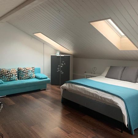 Apartamento Miranda, Modern Duplex, Garden, Swimming Pool, Parking Losone Exterior foto