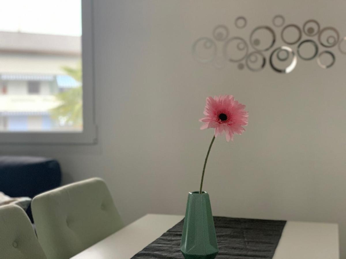 Apartamento Miranda, Modern Duplex, Garden, Swimming Pool, Parking Losone Exterior foto